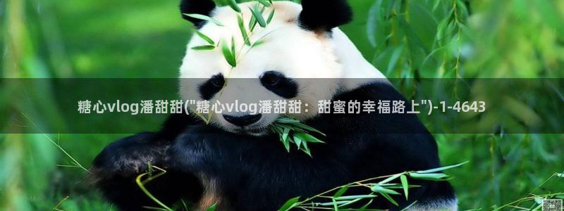 成人糖心vlog下载