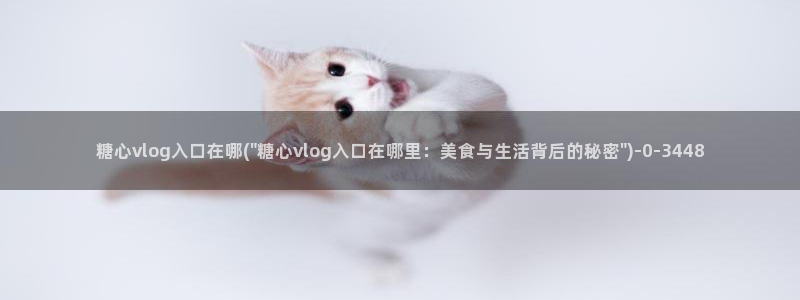 糖心vlog封面