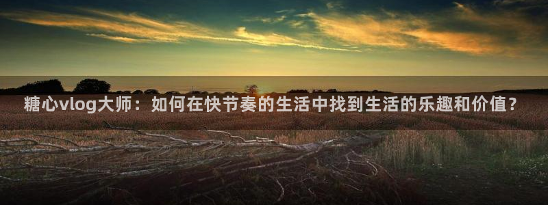 糖心Vlog国产网站：糖心vlog大师：如何在快节奏的生活中找到生活的乐趣和价值