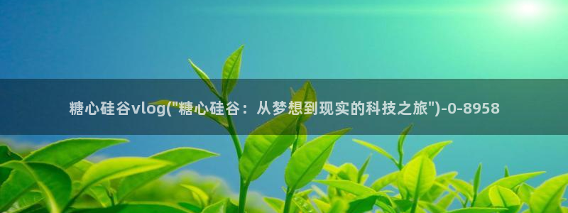 小巨 糖心vlog：糖心硅谷vlog(\