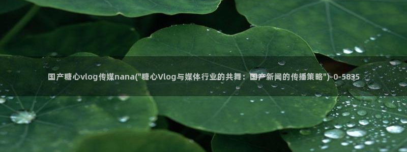 糖心vlog榨汁姬
