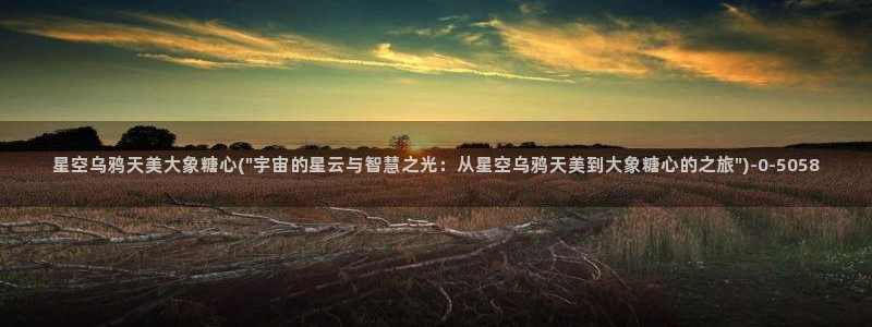 糖心vlog播放：星空乌鸦天美大象糖心(\