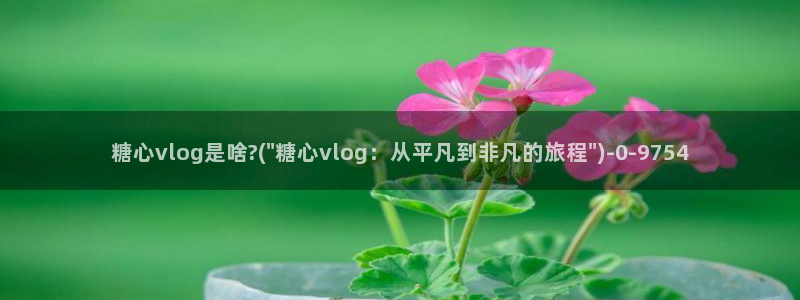 糖心vlog精产国品免费老版：糖心vlog是啥?