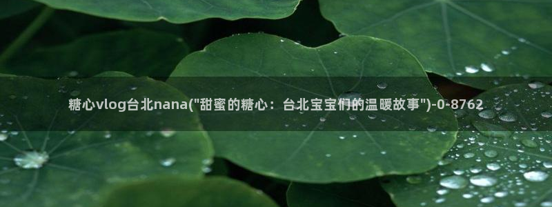 91麻豆糖心vlog出品淑怡：糖心vlog台北nan