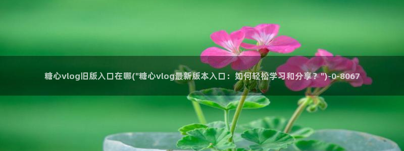 糖心vlog入口网页：糖心vlog旧版入口在哪(\